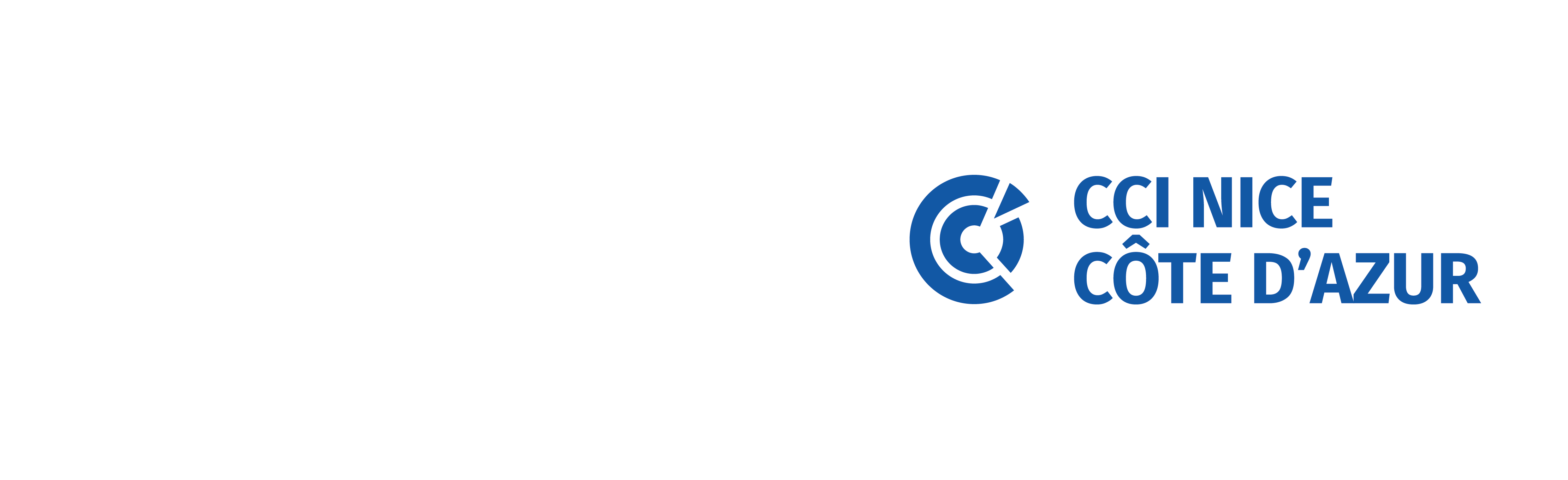 Logo ICS CCI